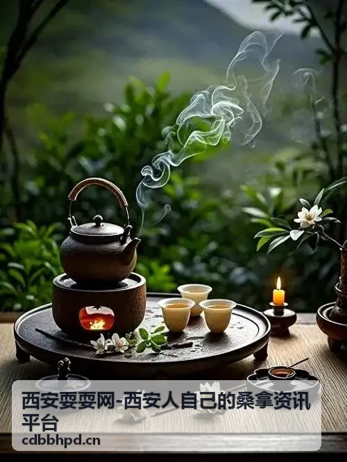 西安耍耍网移动端访问体验图